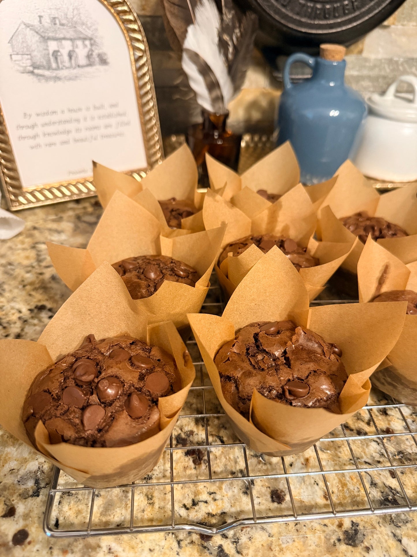 Double Chocolate Muffins