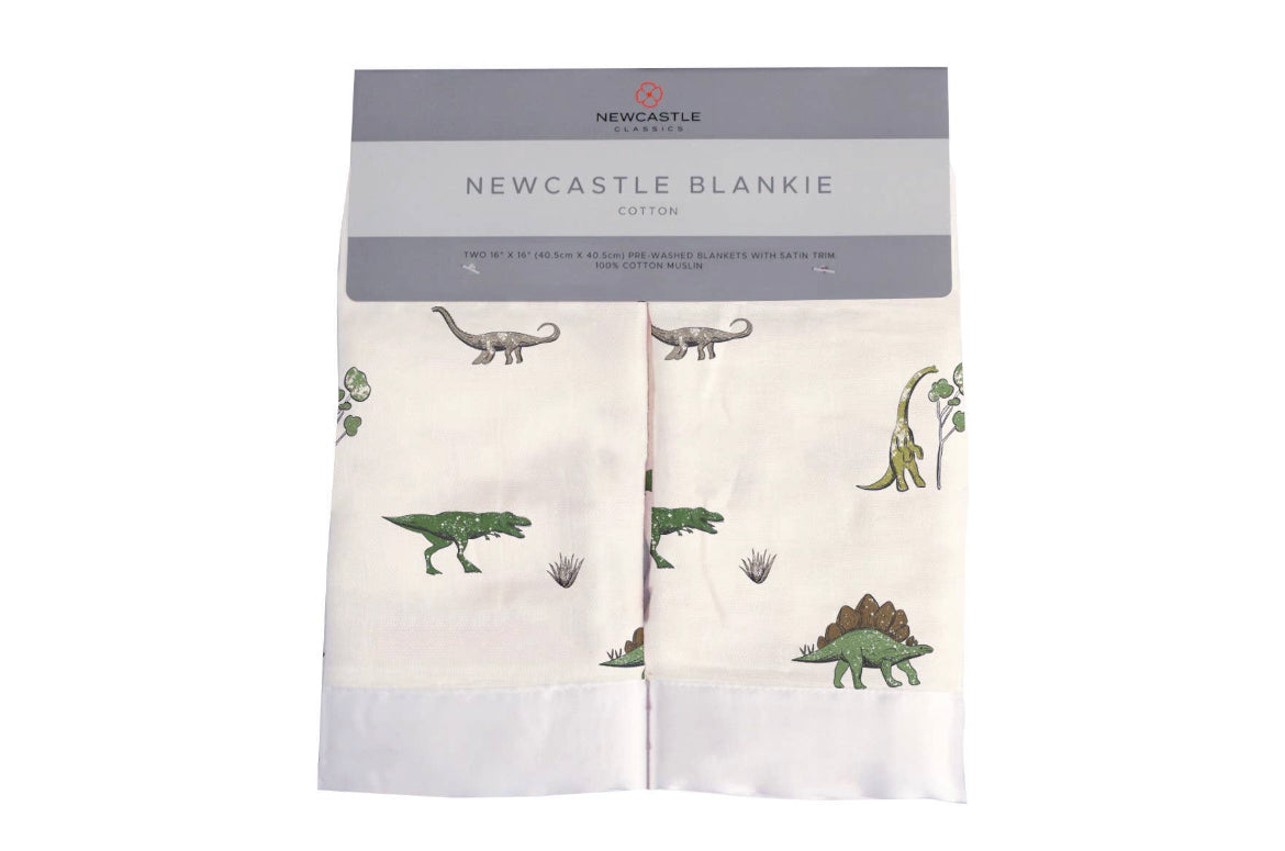 Dino Days Bamboo Newcastle Blankie